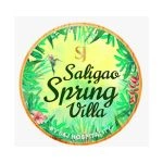 s&j saligao spring villa